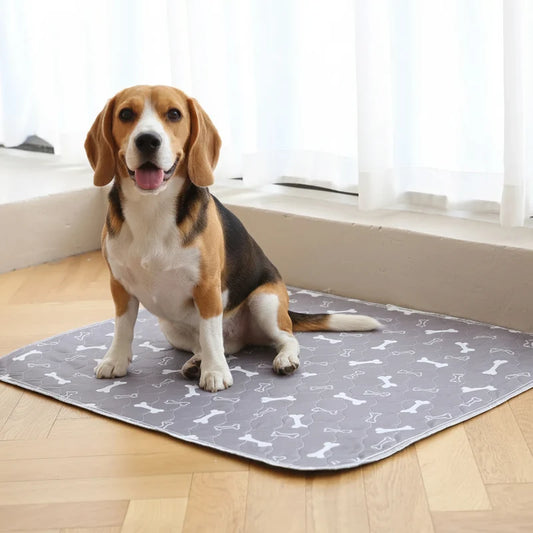 AstraPaw FeroPad Pro