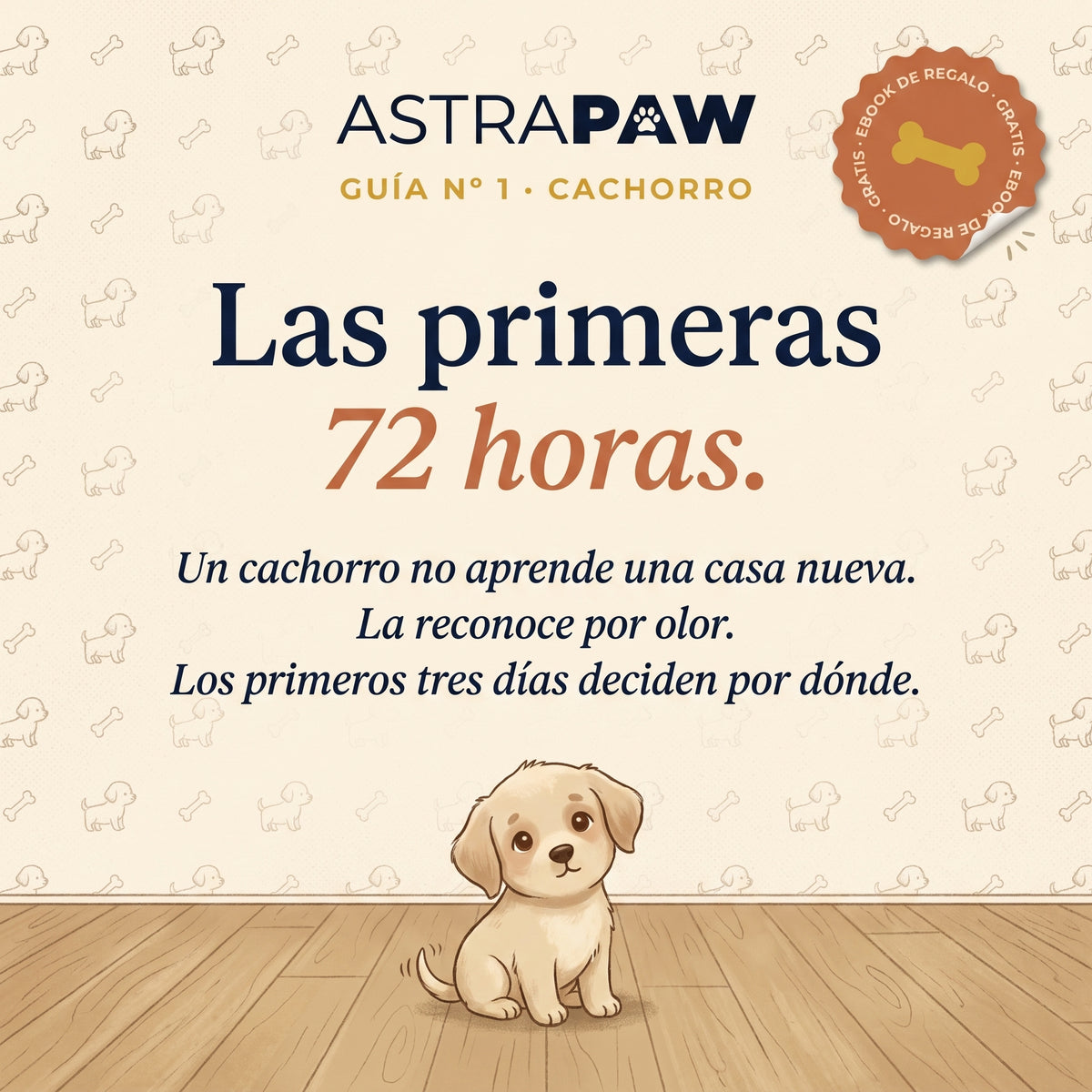 Ebook · Las primeras 72 horas