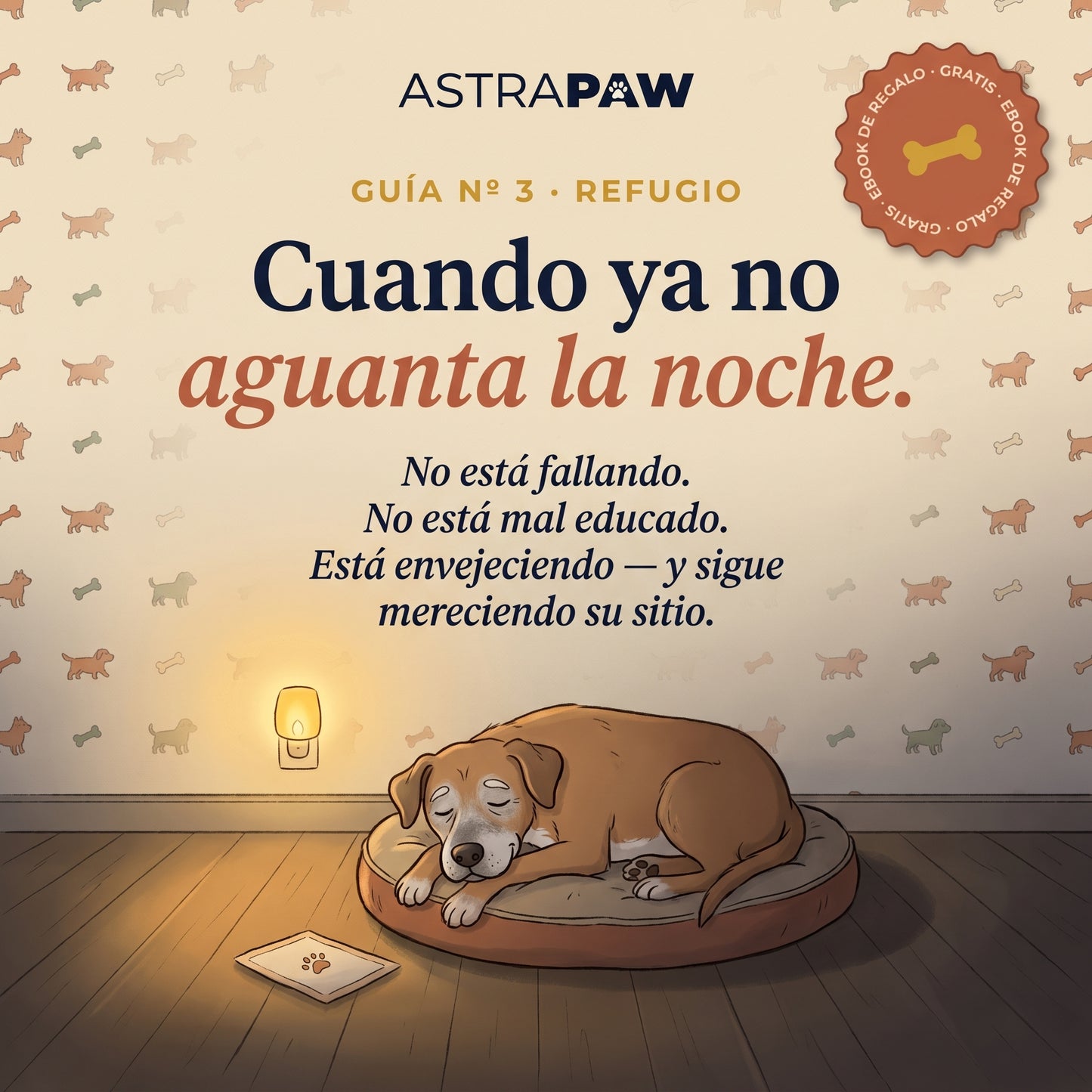 Ebook · Cuando ya no aguanta la noche